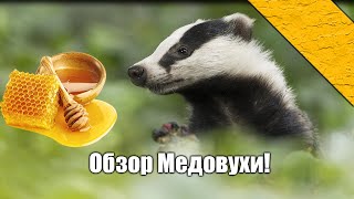 картинка: Valhallaborg | Обзор Медовухи!