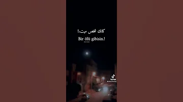 اغاني تركيا لقد سمعت أنك بدوني أصبحت مثل الجروح 