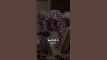 تدبر القرآن الكريم | ( اليوم تختم على افواههم …) 🤍♥️