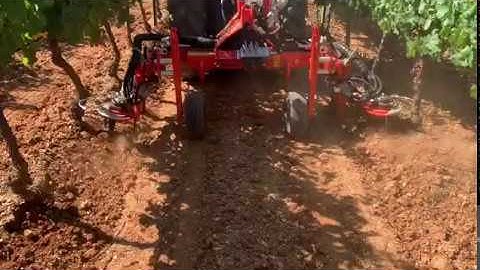 New SICMA Inter-row at Work on Field in a Vineyard #agriculture #farming #inter-row #implements