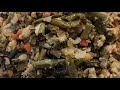 Ароматная жареная спаржевая фасоль с яйцами и сыром. Рецепты от Тани.