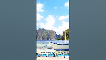 سورة المائدة وكانك تسمعها لأ.و.ل مر.ة 🖤.💘💔..❤️.💛💭بصوت الشيخ حمزة مد.بو.ح💘💛.❣️.💜..💚.❤️