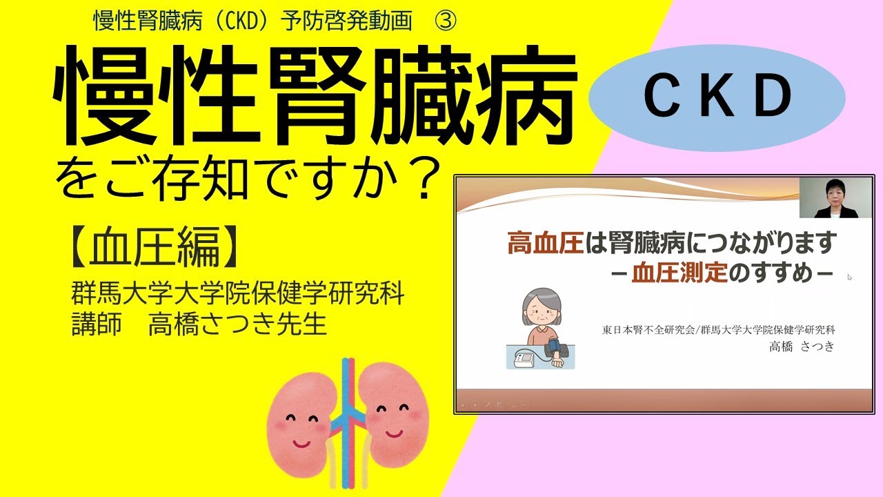 【再々値下げ!早いもの勝ち！送料無料】洋書『血管疾患の基礎科学』 再々値下げ!早いもの勝ち！送料無料】洋書『血管疾患の基礎科学』