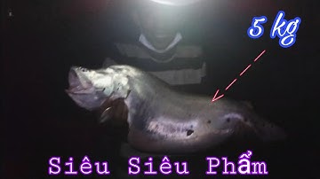 Câu Cá Ổ | 1 Đêm Dứt 9 Em Hugo Thác Lác Khủng 17 Kg , Giật Giản Nách | Nghiện Câu TV | T36