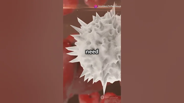 Bacteremia -The Hidden Threat in Your Blood #pencis #researchers #scientist #doctor