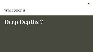 Deep Depths color #46483c hex color - Grey color - Cool color 46483c