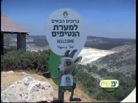 וִידֵאוֹ: מה לראות בבלארוס: סיור למחצבות הגיר ולא רק