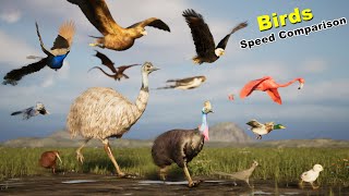 Birds Speed Comparison in 3D | Most Fastest birds | Fictional | Extinct birds | dragons screenshot 3