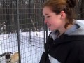 Pug in cage gets even with pit bull