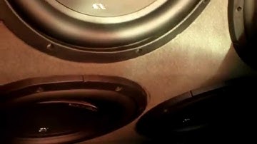 12 Phoenix Gold R 12s