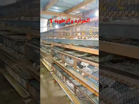 الحراره والرطوبه 1