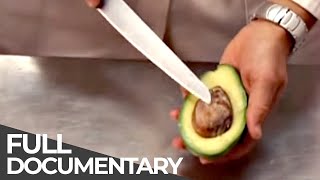 HOW IT WORKS - Episode 23 - Bicycle locks, Tea lights, Avocade harvest, Wrapping paper