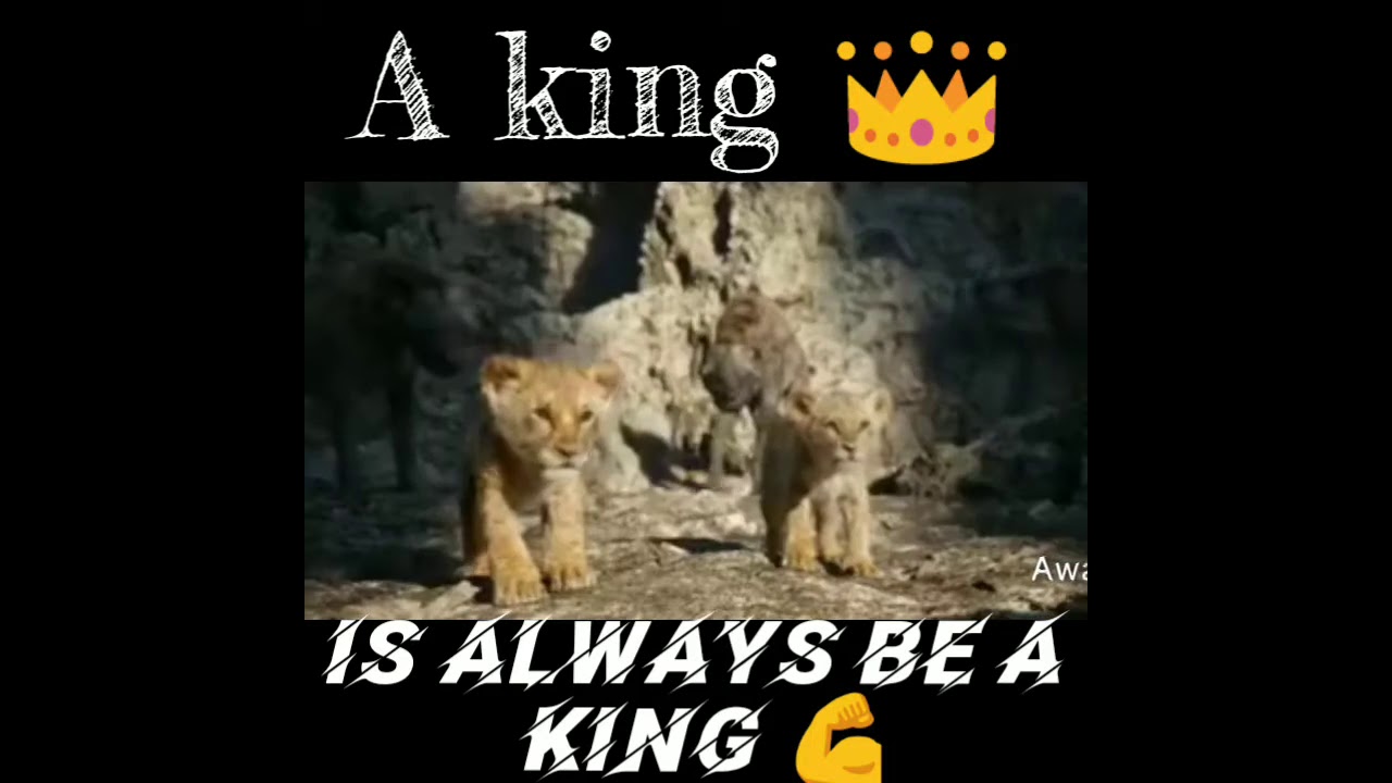 Attitude Status 2020 _ Attitude _Whatsapp status_ English Mobvie The King ?