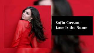 Sofia Carson - Love Is the Name (tekst)