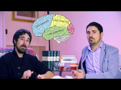 Video: Come comprendere le quattro parti principali del cervello: 8 passaggi