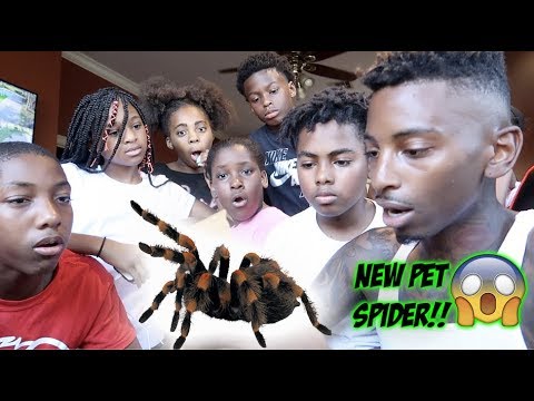 pranks to do on your mom WE GOT A NEW PET TARANTULA & MYKEL GOT A SECRET CRUSH!!