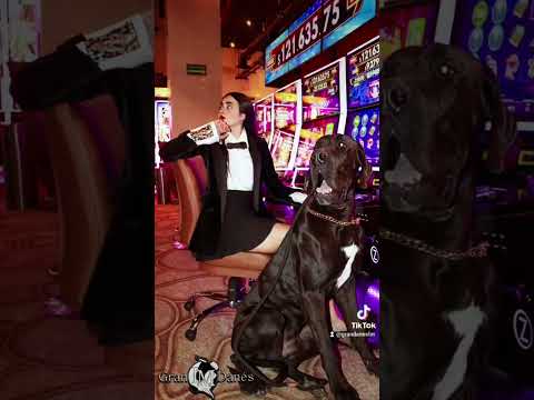 QUEENIE SLOT MACHINE FREE GAMES !!!🔥