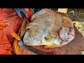 4.5Kg Spade Fish Cutting| Amazing Cutting Skills🔪|KF FISH CUTS