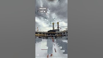 آيات من القرآن الكريم | تلاوة خاشعة مؤثرة تريح القلب وتشرح الصدر #القرآن_الكريم #اكسبلور  #quran