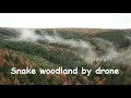 Snake woodlands - Mavic pro
