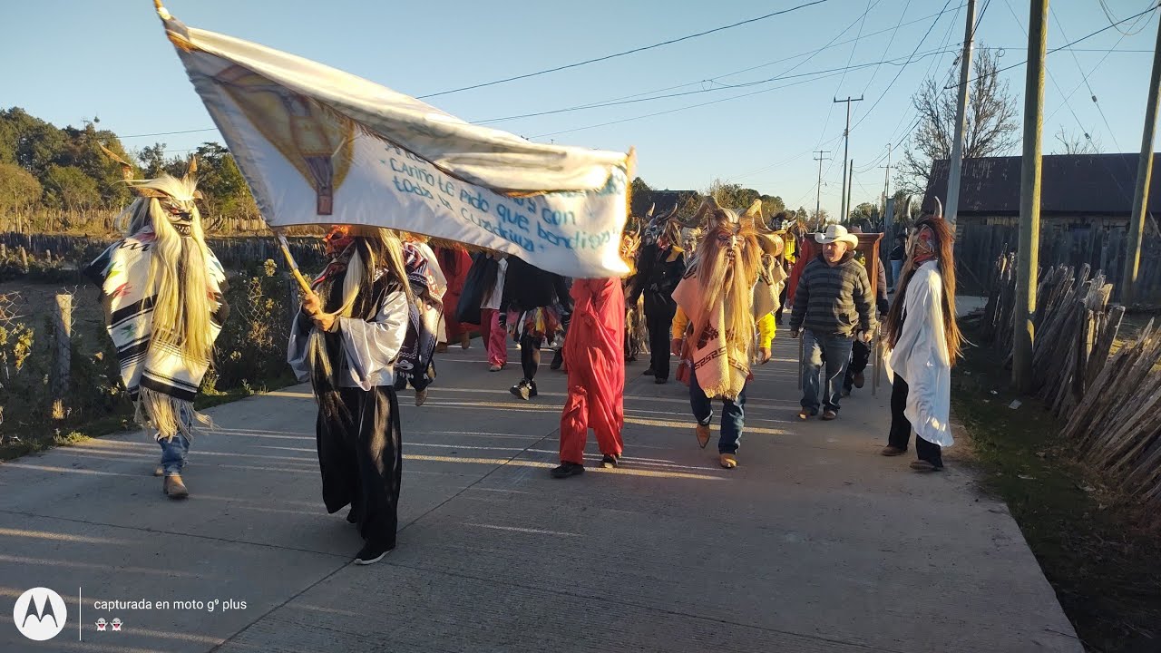 carnaval carpinteros hidalgo 2021