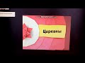 анонс царевны на канале карусель (02.01.2021)