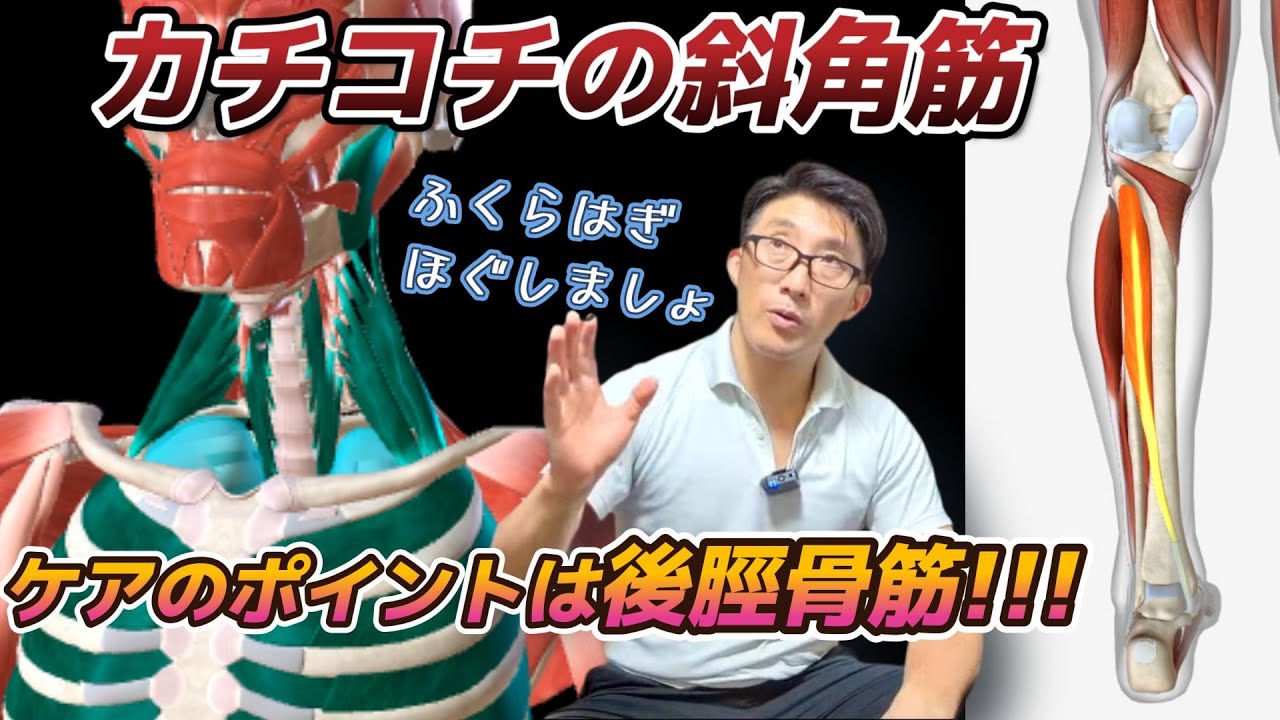 カチカチの斜角筋、ケアのPOINTは後脛骨筋です!!!【リフターズケア】