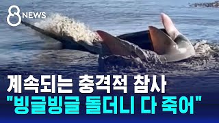 계속되는 충격적 참사..."빙글빙글 돌더니 다 죽어" / SBS 8뉴스