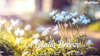 A Gentle Breeze Make Feel Free | Lighthearted Soft Piano Melody for Deep Comfort & Peace