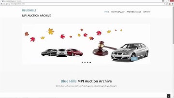 MPI auction intro