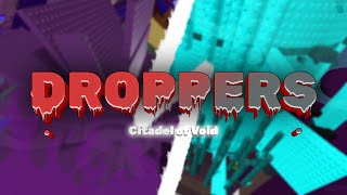 Citadel of Void - Both Droppers Legit