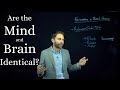 The Mind-Brain Identity Theory