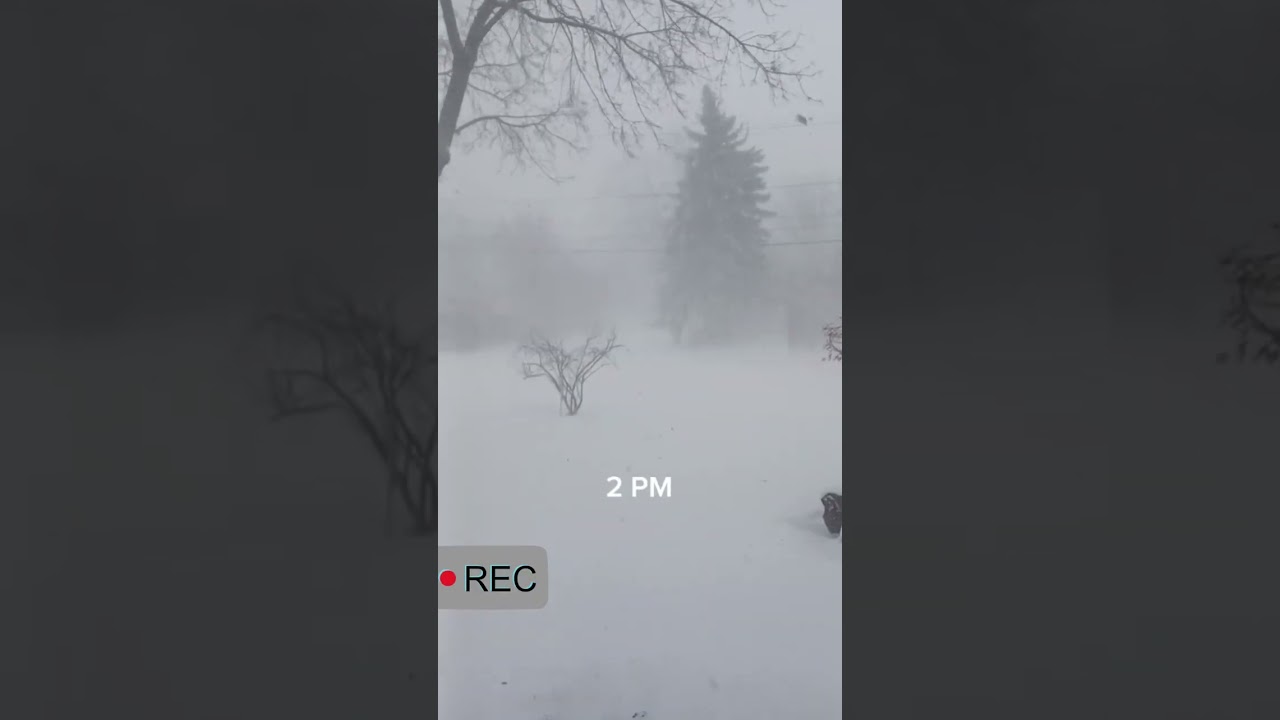 Snow Winetr Storm 2023 Blizzard Time-lapse #shorts #timelapse #snowstorm