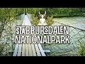 Wandern im Stabbursdalen Nationalpark - Roadtrip durch die nördlichste Provinz Europas - Folge 3