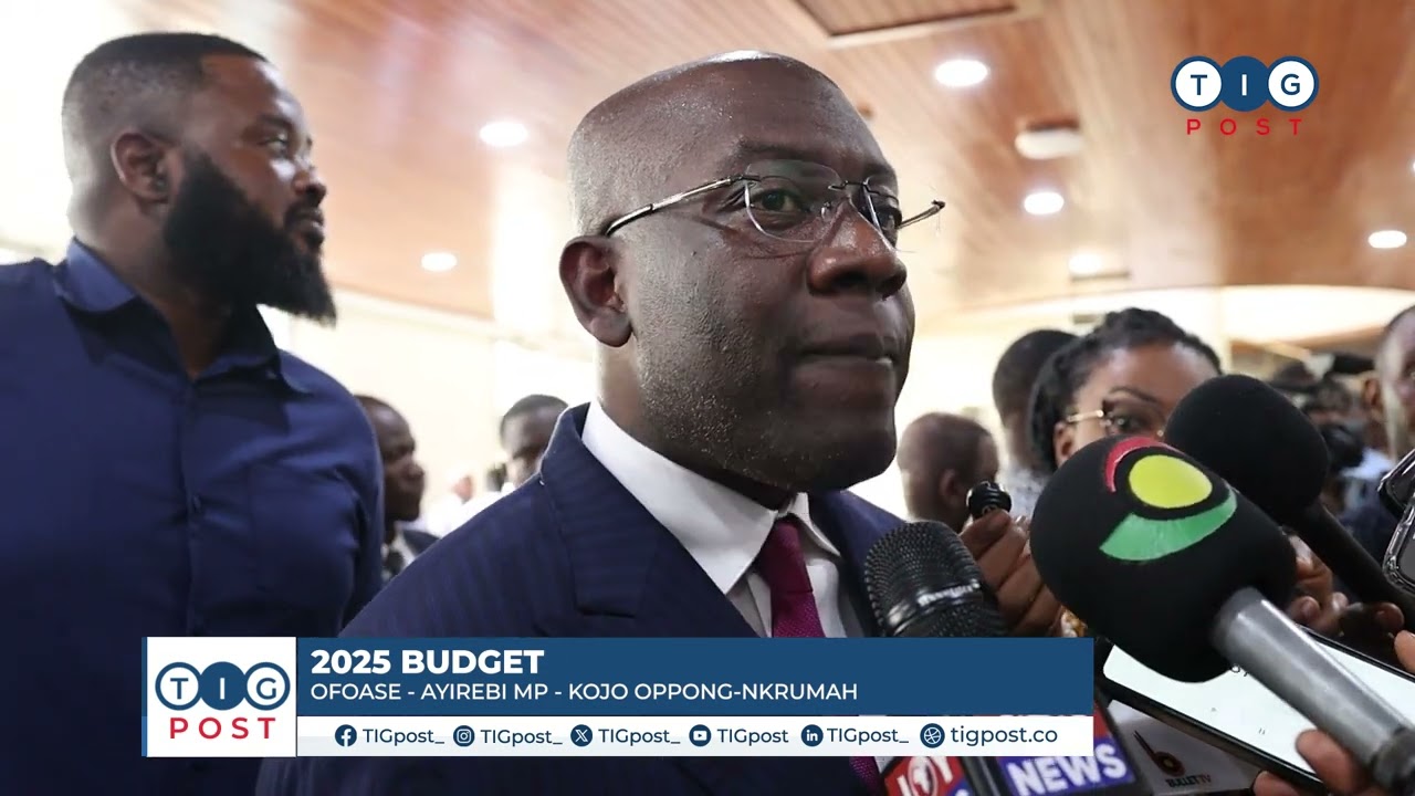Gov’t is going to squander 1 month import cover - Oppong-Nkrumah alleges