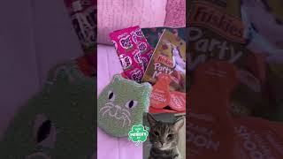 St Patricks Day Furbasket