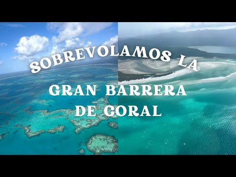 Una semana conmigo por las Whitsundays🌞 & Bowen🌴: aguas turquesas🌊 y canguros🦘 - AUSTRALIA DIARIES🇦🇺