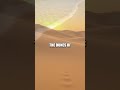 The Unseen Power of Vibrating Sand