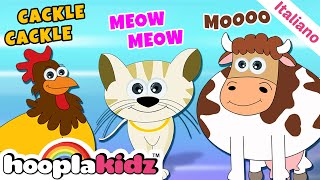 Canzone Dei Suoni Degli Animali Canzoni Per Bambini Hooplakidz Italiano