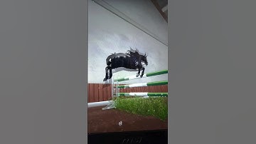 not the best but #sso #starstable #horse #ssoedit #starstableedit #edit #shorts