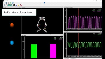 The MotionMonitor xGen Real-Time Biofeedback
