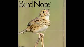 From Simple to Complex Bird Sounds