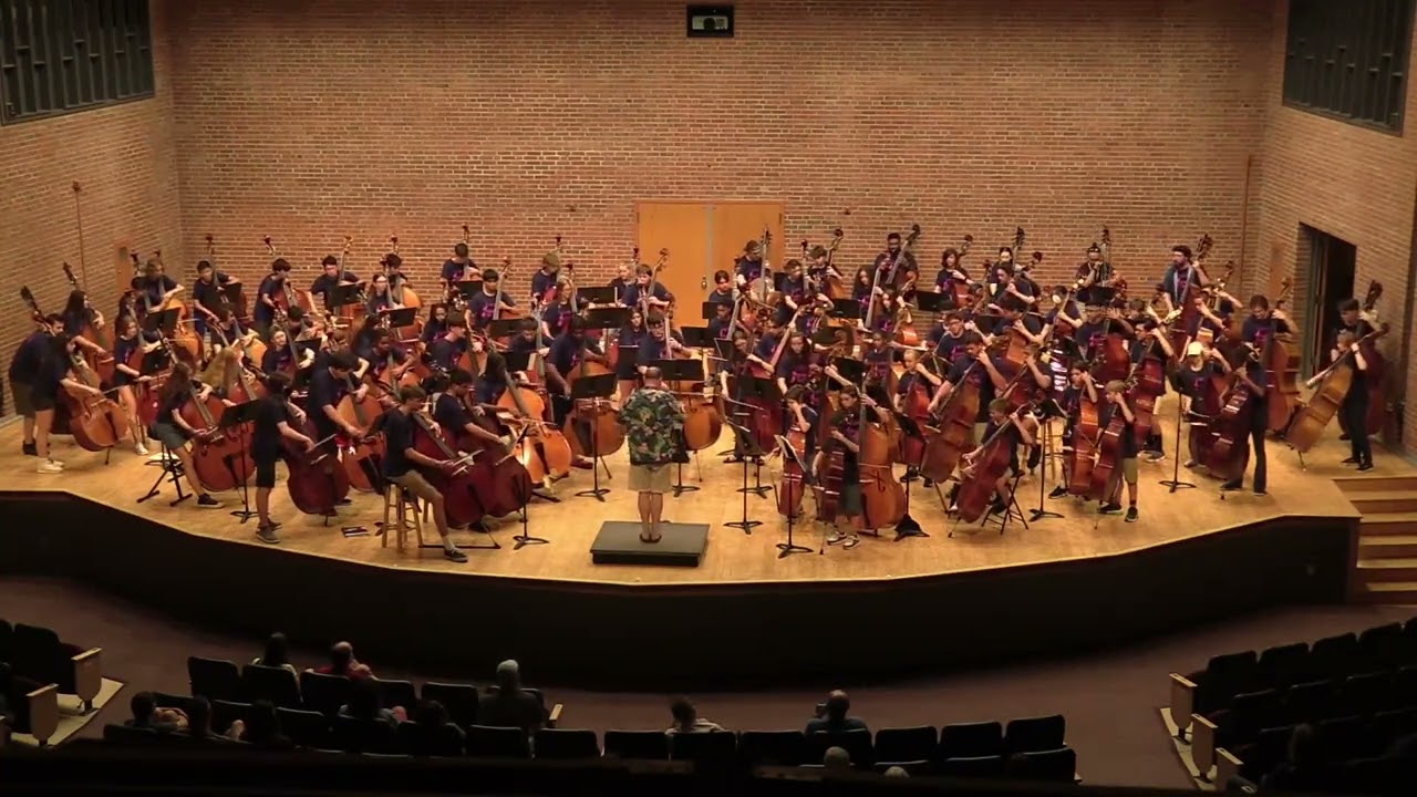 Double Bass Orchestra - 