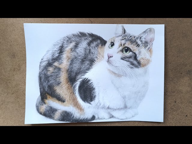 猫の水彩画 水彩画】見上げる猫を描きました。 - YouTube