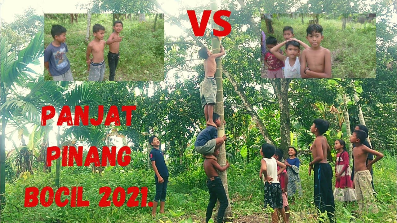 Seruu... Lomba panjat pinang bocil 2021, unik Dan lucu banget !!!