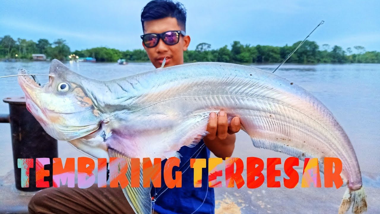 strike tembiring terbesar sungai kapuass