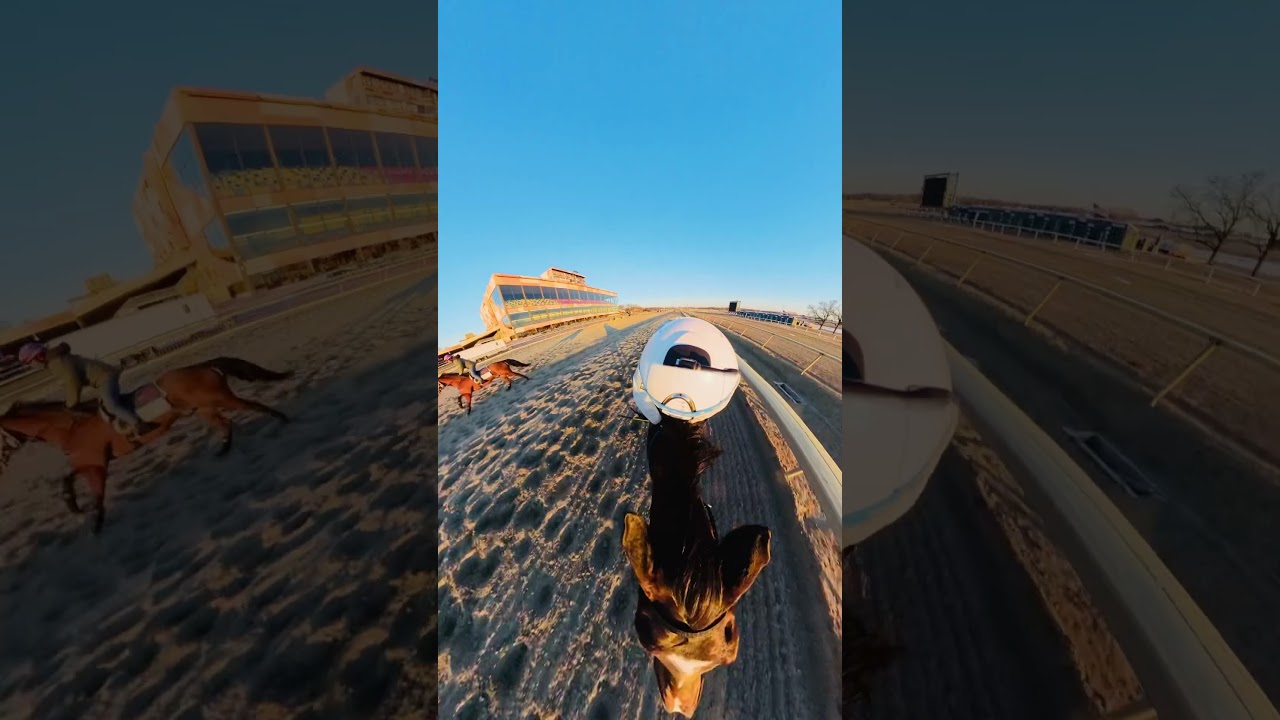 Rise and grind!! Breezing a 1200lb racehorse 