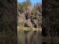 onewildlifer is live at Sweetwater Wetlands