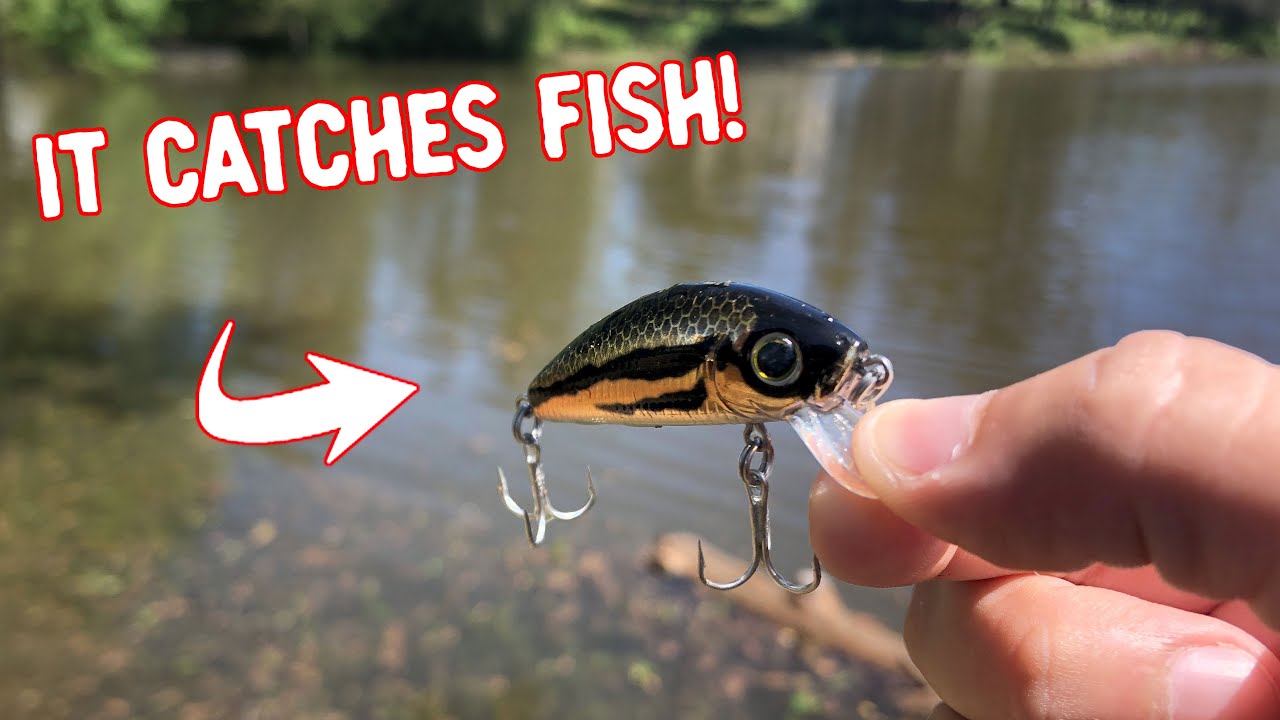 This Fishing Lure CATCHES EVERYTHING!