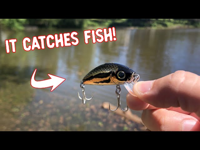 This Fishing Lure CATCHES EVERYTHING! | Yo-Zuri L Minnow - YouTube